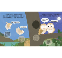 Load image into Gallery viewer, Animal Growth Story: Owl 成長小故事: 貓頭鷹莉莉
