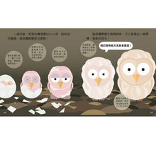 Load image into Gallery viewer, Animal Growth Story: Owl 成長小故事: 貓頭鷹莉莉