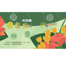 Load image into Gallery viewer, Animal Growth Story: Caterpillars 成長小故事:毛毛蟲多多