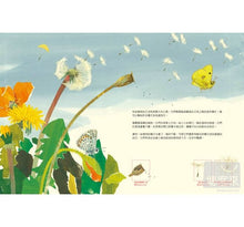 Load image into Gallery viewer, A Seed of Travel 一顆種子的旅行