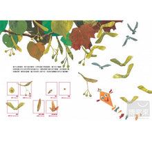 Load image into Gallery viewer, A Seed of Travel 一顆種子的旅行