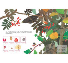 Load image into Gallery viewer, A Seed of Travel 一顆種子的旅行