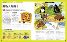 Load image into Gallery viewer, Protects the Earth 讓地球綠起來