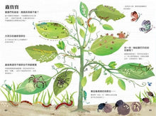 Load image into Gallery viewer, The Big Book of Bugs 蟲蟲大書