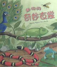 Load image into Gallery viewer, Why are Animals Different Colors? 自然科學與好奇心:動物的奇妙衣裳