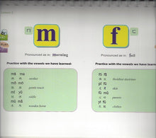 Load image into Gallery viewer, Mastering Pinyin in 3 Days +2CDs 漢語拼音3日通