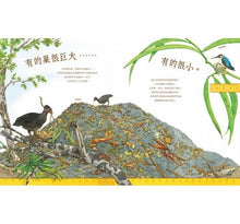 Load image into Gallery viewer, A Nest is Noisy 鬧哄哄的巢