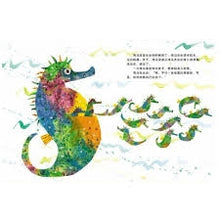 Load image into Gallery viewer, Mister Seahorse 海马先生