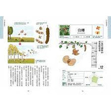 Load image into Gallery viewer, Seed Illustrated Book: Flying in the sky, swimming in the river, pretending to deceive the enemy and playing tricks...種子圖鑑： 天上飛、河裡游、偽裝欺敵搞心機......讓你意想不到的種子變身小劇場
