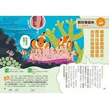 Load image into Gallery viewer, Curious kids’ Adventure: Metamorphosis, Transformation, and Mutation! We are Clever Sea Creatures好奇孩子大探索：變態・變身・變異！我們是機智的海洋生物
