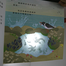 Load image into Gallery viewer, 光影魔術：海岸邊的祕密
