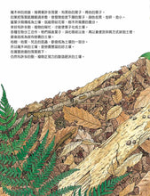 Load image into Gallery viewer, 森林裡的土壤製造機：雜木林的生態繪本
