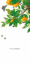 Load image into Gallery viewer, My Baby Fruit  我的水果寶寶
