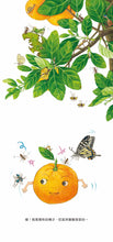 Load image into Gallery viewer, My Baby Fruit  我的水果寶寶
