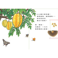 Load image into Gallery viewer, 小種子，快長大（水果篇）
