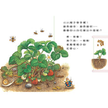 Load image into Gallery viewer, 小種子，快長大（水果篇）
