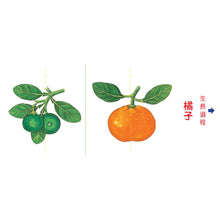 Load image into Gallery viewer, 小種子，快長大（水果篇）
