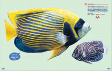 Load image into Gallery viewer, 世界上有哪些魚？：魚類、海洋動物與牠們生活的大海
