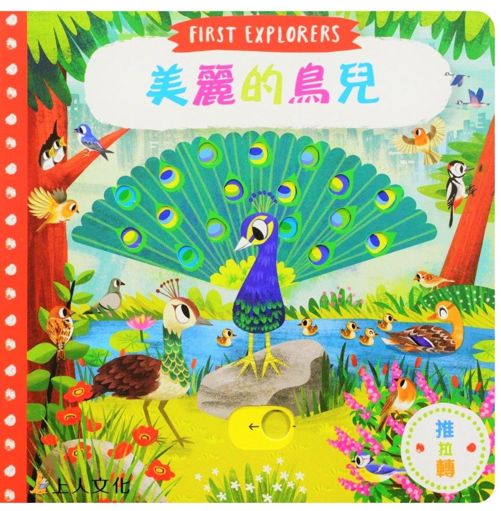 美麗的鳥兒