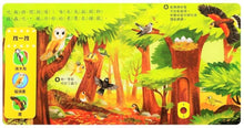 Load image into Gallery viewer, 美麗的鳥兒
