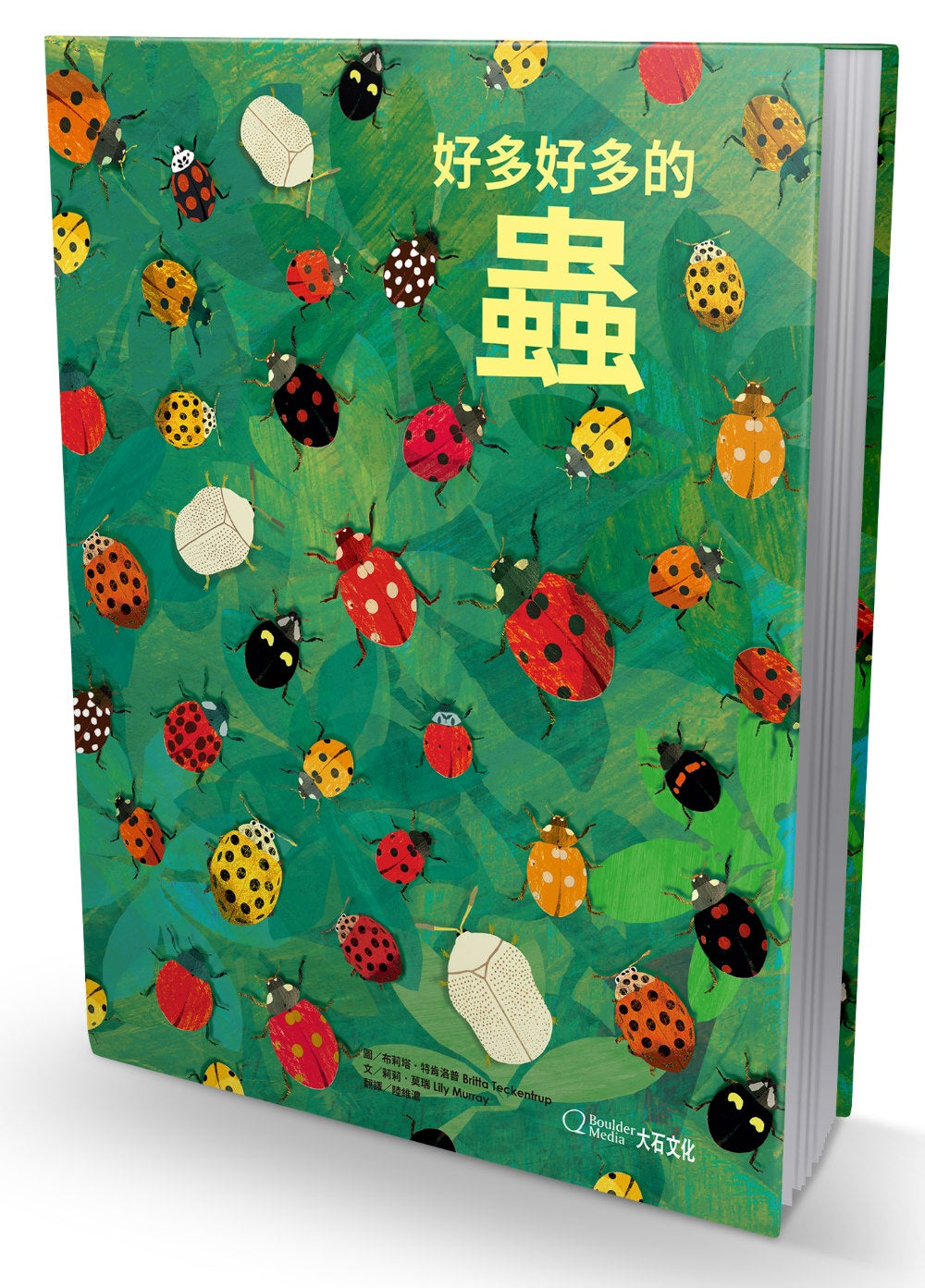 There are Bugs Everywhere  好多好多的蟲