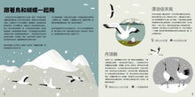 Load image into Gallery viewer, 動物界的大旅行家：神奇的動物遷徙與生態地圖
