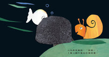 Load image into Gallery viewer, 小白魚玩躲貓貓
