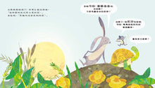 Load image into Gallery viewer, 【品格教育繪本：警覺心/安全教育】真的!這裡沒有鱷魚
