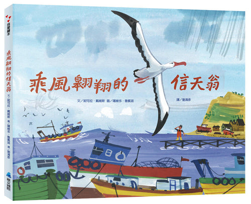 乘風翱翔的信天翁