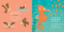 Load image into Gallery viewer, 天才爸爸不一樣！
