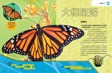 Load image into Gallery viewer, 國家地理 終極昆蟲百科：史上最完整的昆蟲大全(新版)
