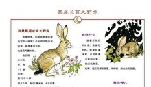 Load image into Gallery viewer, Listen to Storytelling Nature series  听大自然讲故事: 全10册
