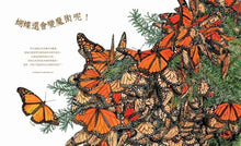 Load image into Gallery viewer, A Butterfly is Patient 有耐心的蝴蝶
