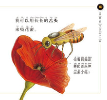Load image into Gallery viewer, National Geographic-Insect (6 Books）虫虫想想看套裝（全6册 中英双语）
