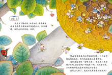Load image into Gallery viewer, Diary of the Insects series(8 books-set)  我的日记系列
