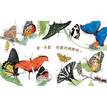 Load image into Gallery viewer, A Butterfly is Patient 有耐心的蝴蝶
