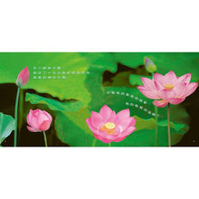Load image into Gallery viewer, My Natural Book Bag 我的自然小書包(20本平裝圖畫書+4CDs+2DVDs)
