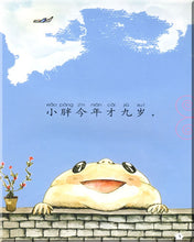 Load image into Gallery viewer, My Little Chinese Story Books-Volume 1-20＋20CD-ROM 我的中文小故事書
