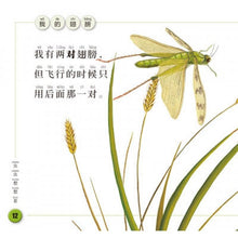 Load image into Gallery viewer, National Geographic-Insect (6 Books）虫虫想想看套裝（全6册 中英双语）
