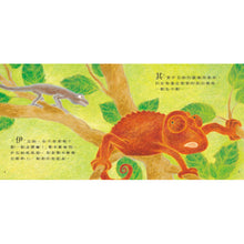 Load image into Gallery viewer, Chameleons don&#39;t change color? 變色龍不變色？(大書系列)
