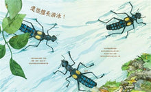 Load image into Gallery viewer, A Beetle is Shy害羞的甲蟲
