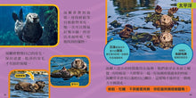 Load image into Gallery viewer, National Geographic Little Kids First Big Book of the Ocean國家地理小小海洋探險家
