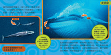 Load image into Gallery viewer, National Geographic Little Kids First Big Book of the Ocean國家地理小小海洋探險家
