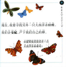 Load image into Gallery viewer, National Geographic-Insect (6 Books）虫虫想想看套裝（全6册 中英双语）
