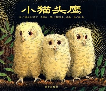 Owl Babies  小猫头鹰