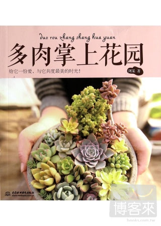 多肉掌上花園