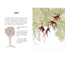 Load image into Gallery viewer, CHOCOLATE   巧克力
