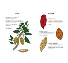 Load image into Gallery viewer, CHOCOLATE   巧克力
