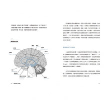 Load image into Gallery viewer, 劉博仁不藏私的健腦祕密：活化大腦一點都不難，六堂課養出健康好腦
