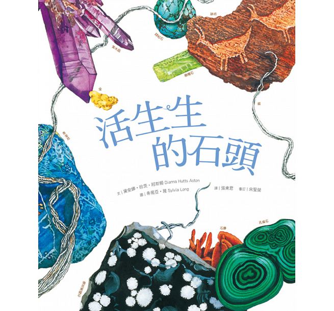 A rock is Lively 活生生的石頭